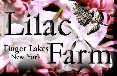 Jobs in Lilac Farm - reviews